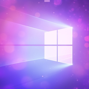 Windows logo